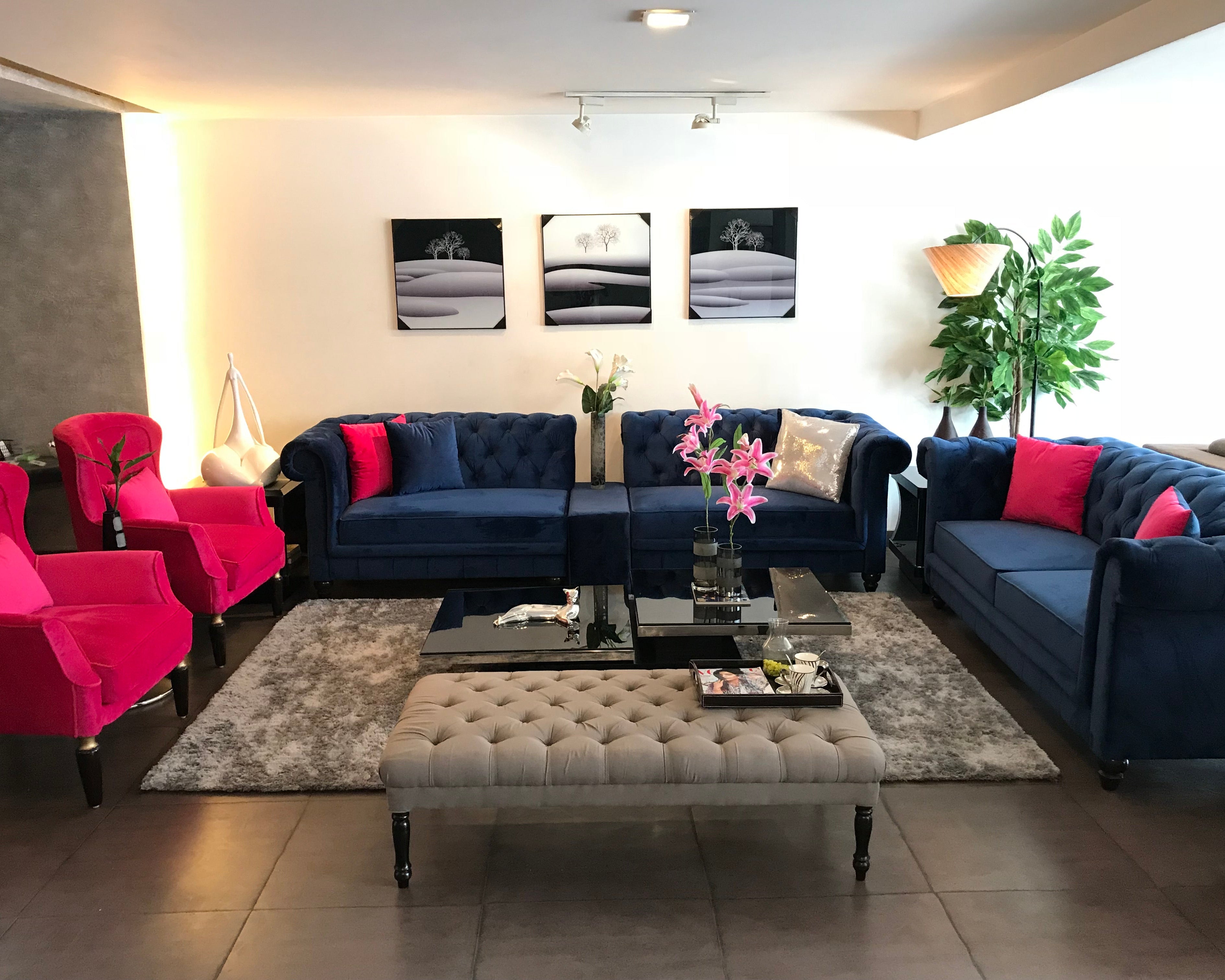 Bold Contrast Navy & Magenta Set
